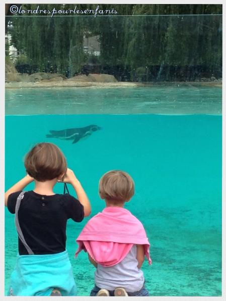 London Zoo
