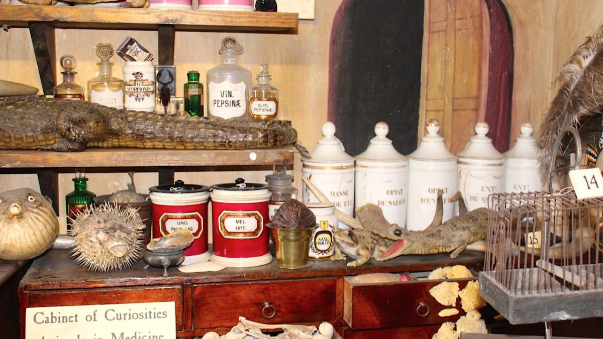 The Old Operating Theatre Museum, une visite inédite!
