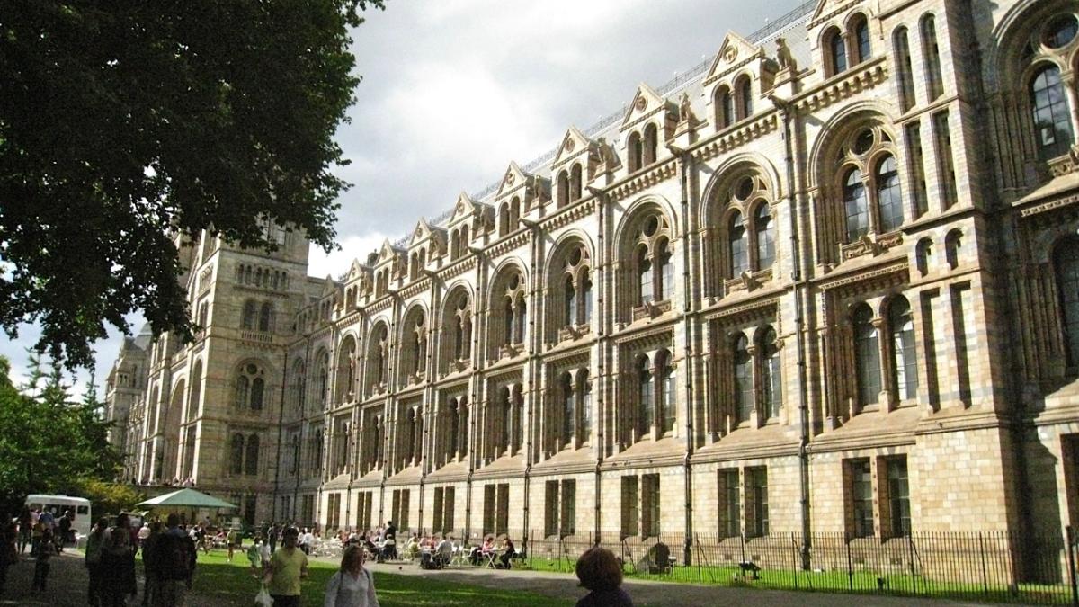 Mes conseils pour visiter le Natural History Museum avec les plus jeunes