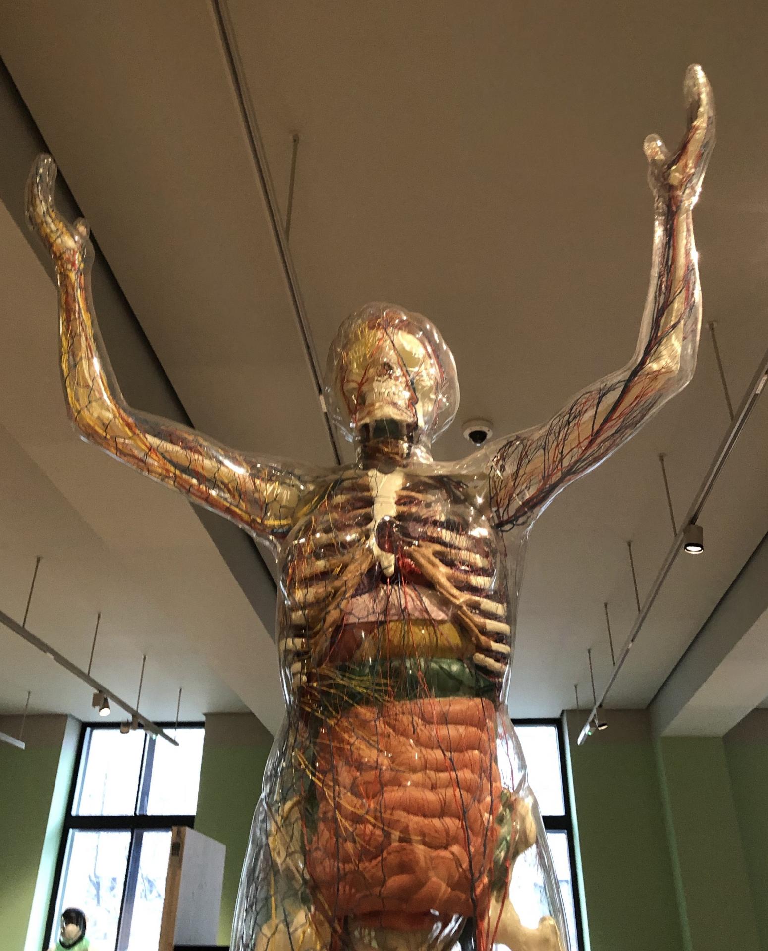 Une visite improvisée de la Wellcome Collection