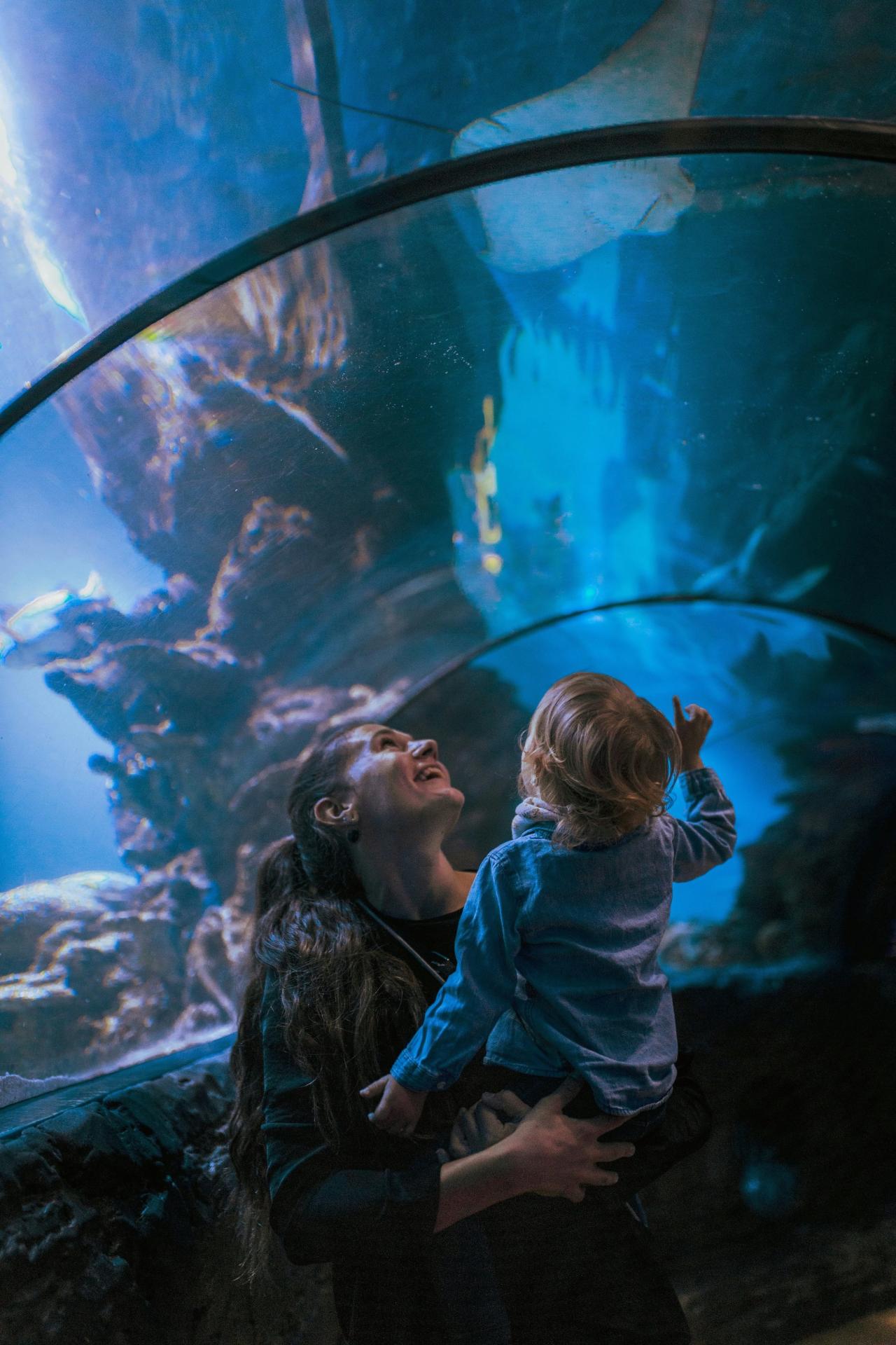 Les meilleures attractions de Londres