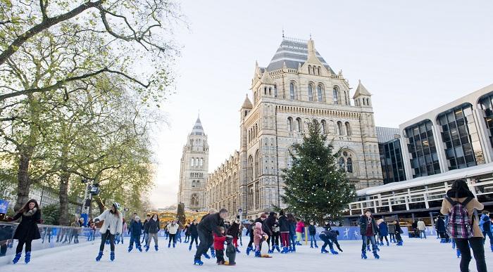 La vie sauvages, des dinosaures et du patinage au musée d'histoire naturelle!